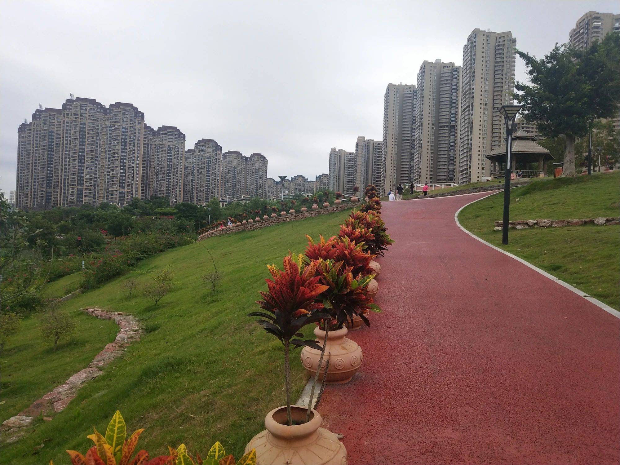 南宁免费景区那考河湿地公园观光记