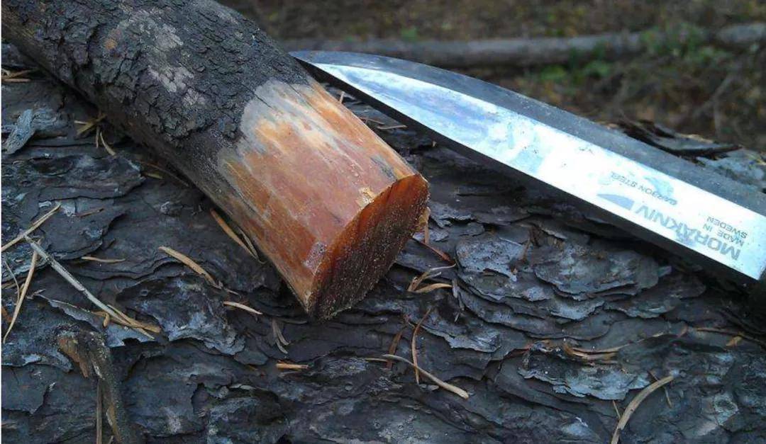 赚了50块钱买的的松明子别人看了都说是老蜡