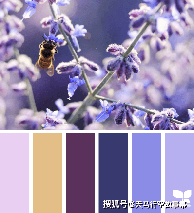 配色方案色彩搭配大全春天篇