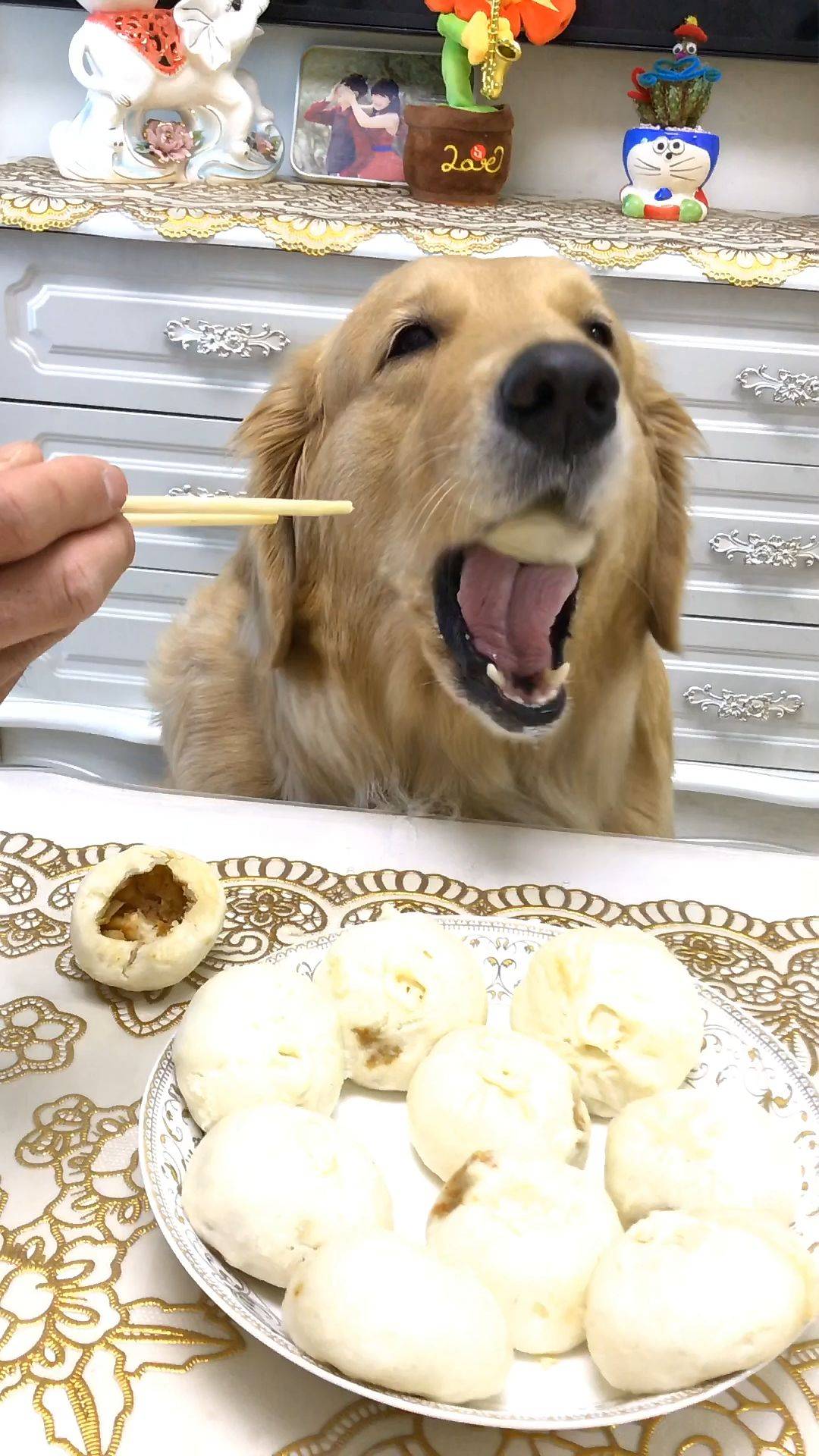 原创宠主喂狗狗吃包子馋嘴狗狗高兴得飞起邪魅一笑亮瞎眼