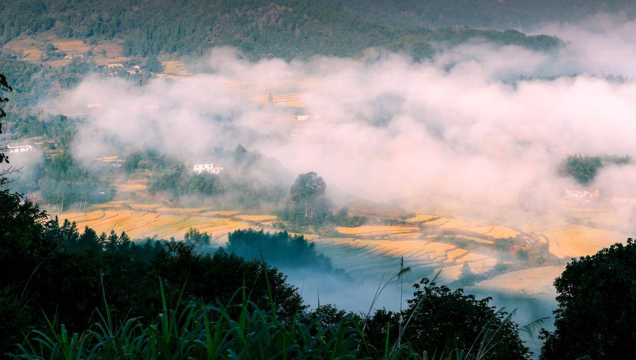 秋意的温柔,早已藏在铜鼓这山城之中_稻田