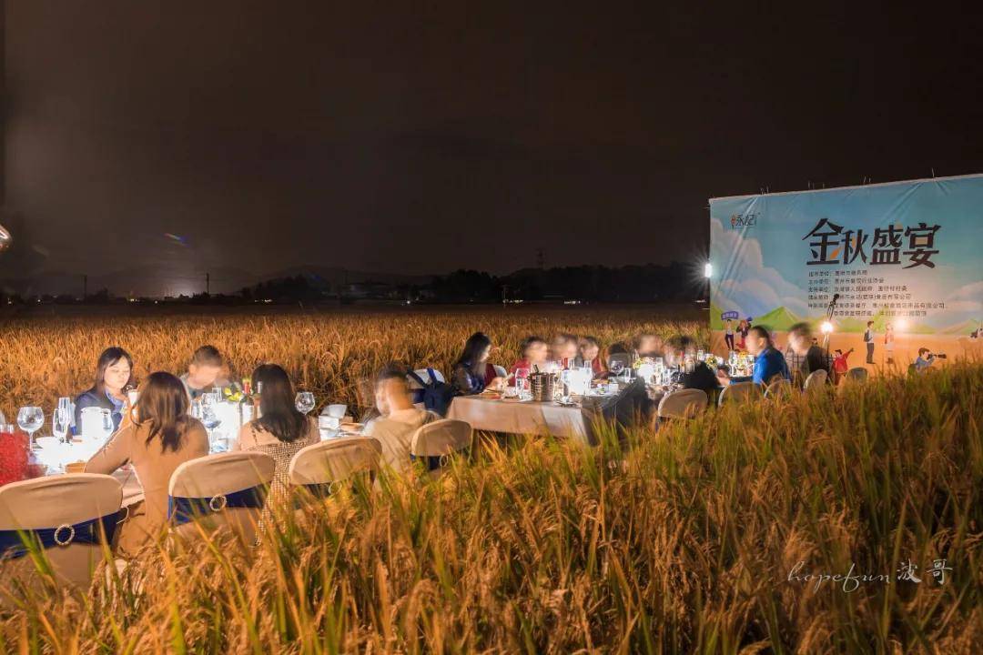 原来汝湖的稻田飨宴那么有趣立即购票打卡吧