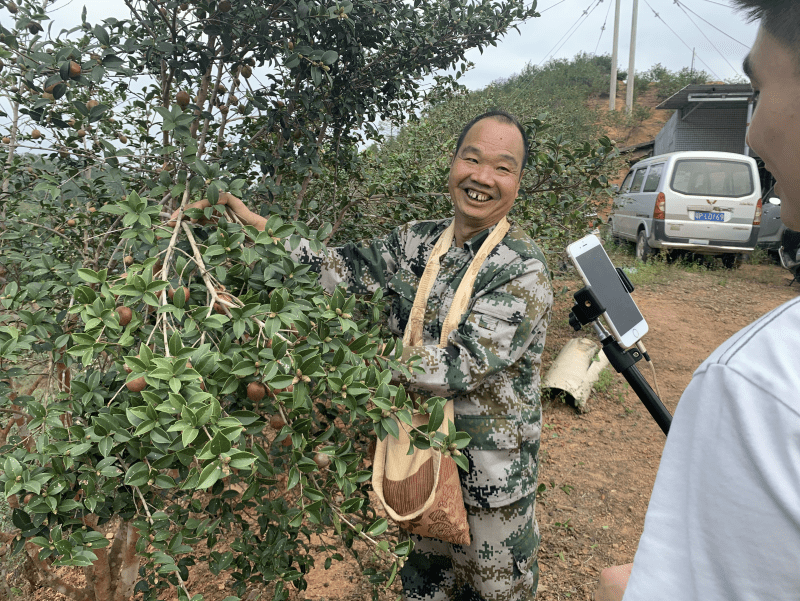 街背油茶種植專業合作社模式是自負經營管理,按畝發包農戶,並請一些