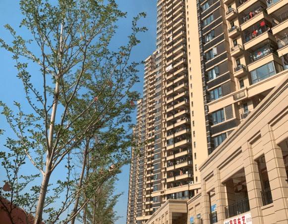 实拍广西密度最大的楼房层层叠叠密密麻麻