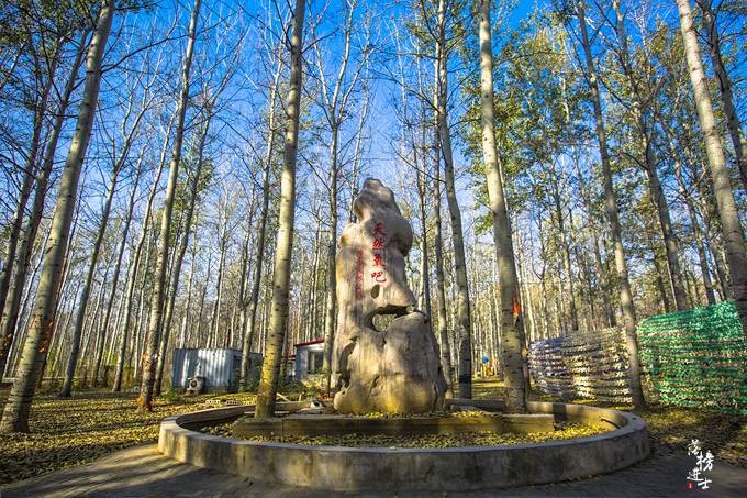 说起生态清平,森林公园自然