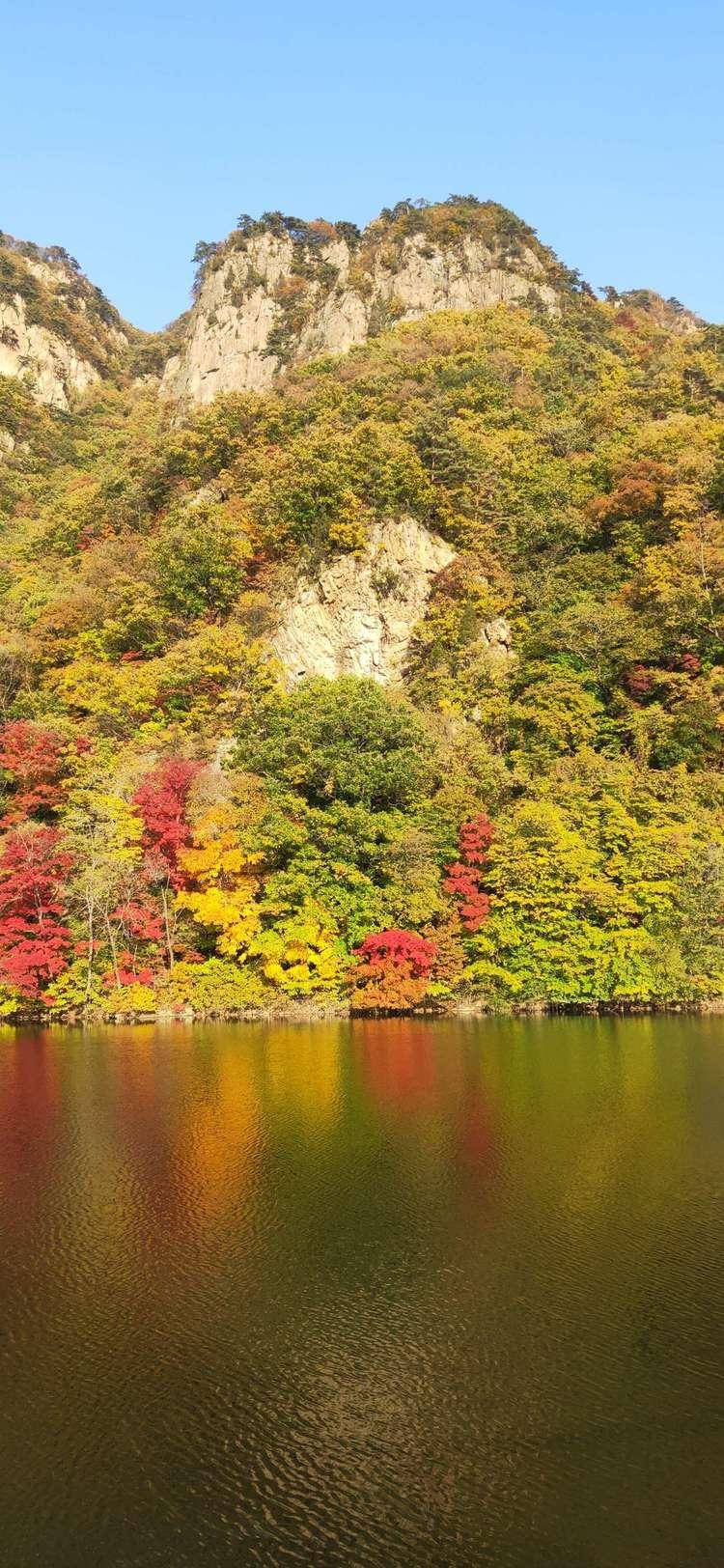 秋漸涼晨露凝霜,山水間楓葉正紅——本溪關門山國家森林公園