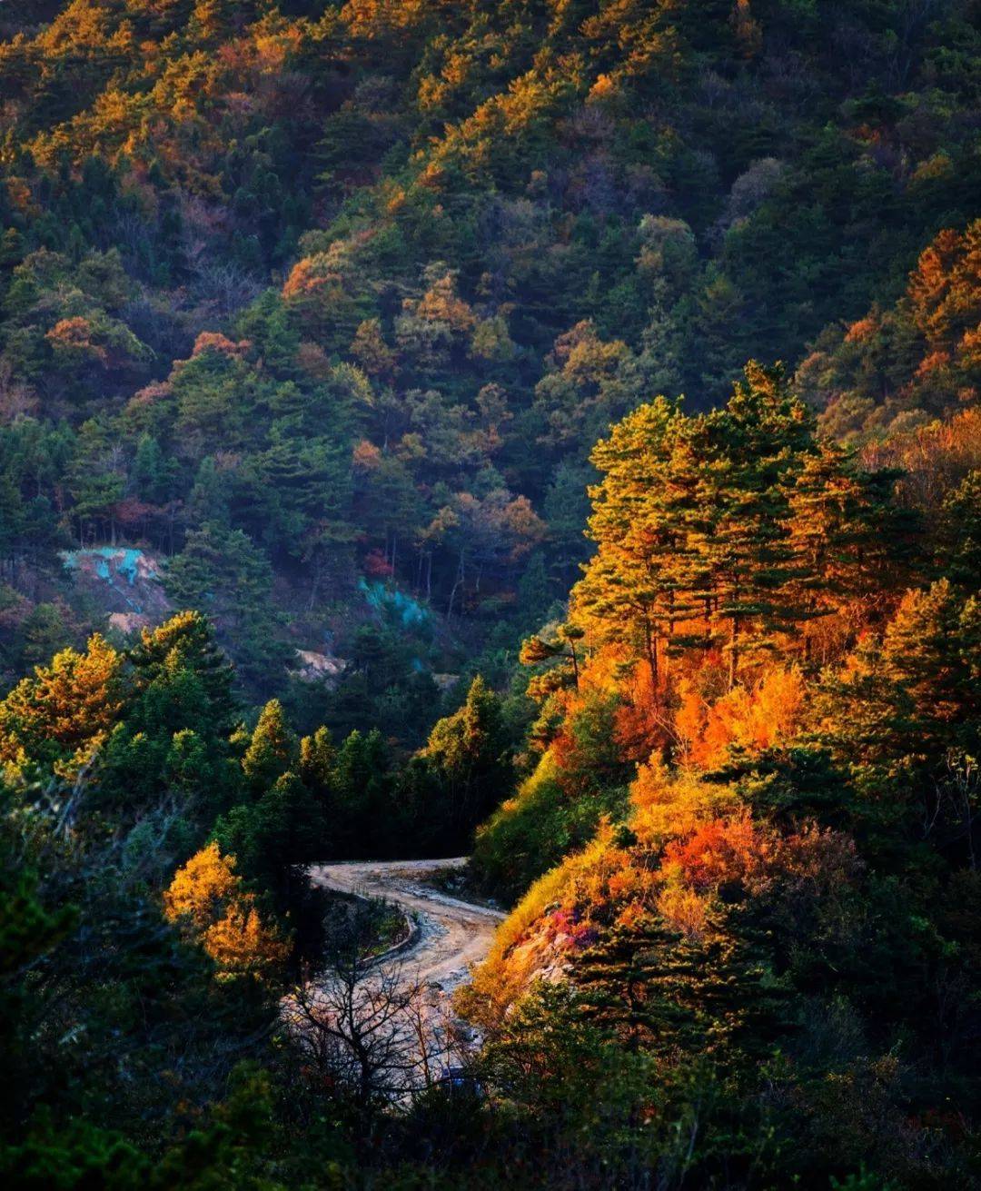 天堂寨马丁公路风景区图片