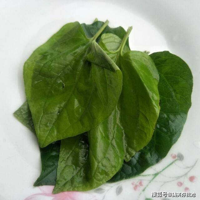 原创炒螺蛳煲不加紫苏加另外两种植物叶比加紫苏还要香