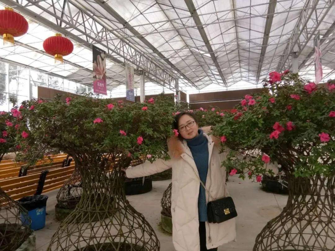 甘肃省岷县第四中学优秀教师胡晶晶风采_手机搜狐网