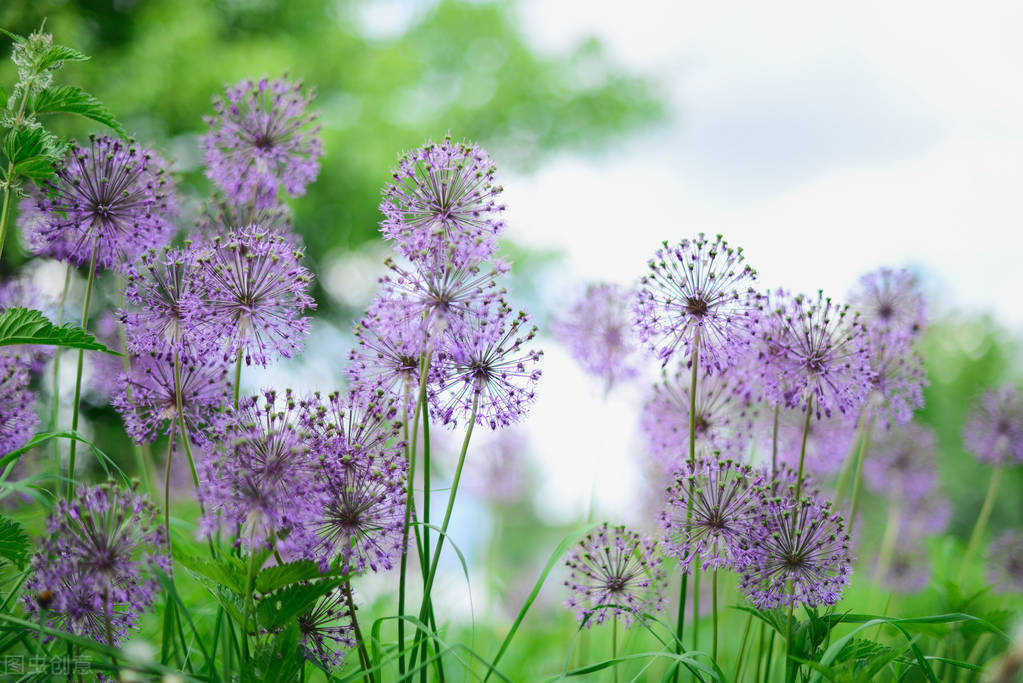 精致阳光的朋友圈短句,唯美简洁,句句表明心意