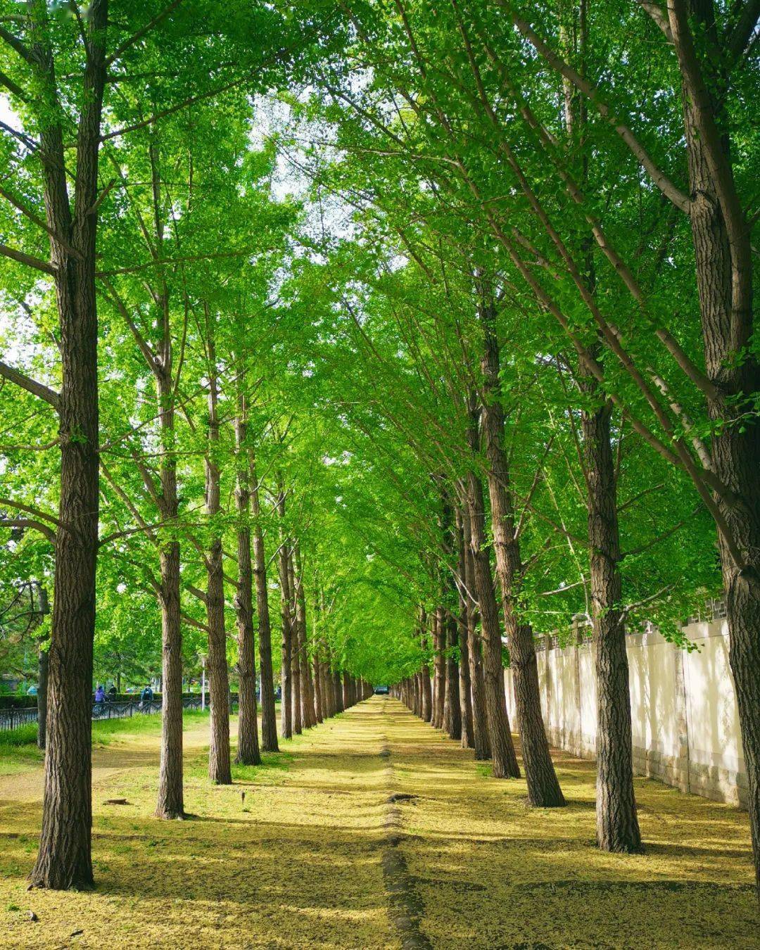 外網點贊破百萬的夏秋對比圖,宛如上帝打翻了調色盤!