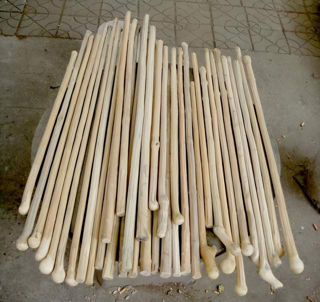 传说中的降龙木天生就有六道棱北方很常见知道是哪种植物吗