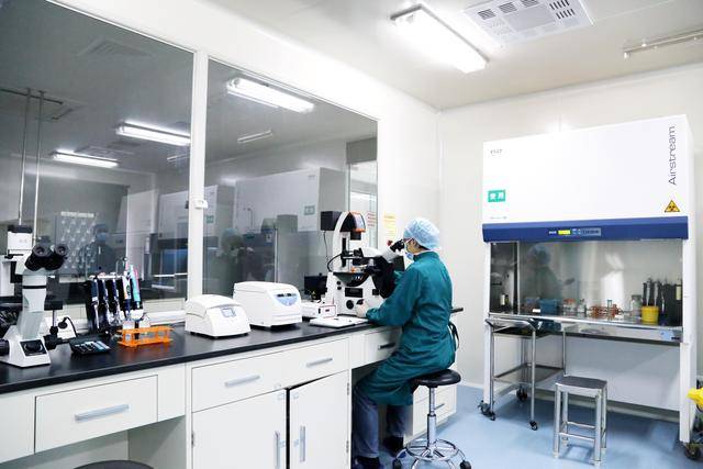 干细胞实验室的规划设计