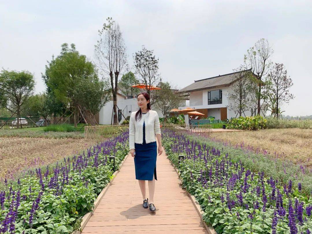 安仁随笔 | 致安仁的三个春天