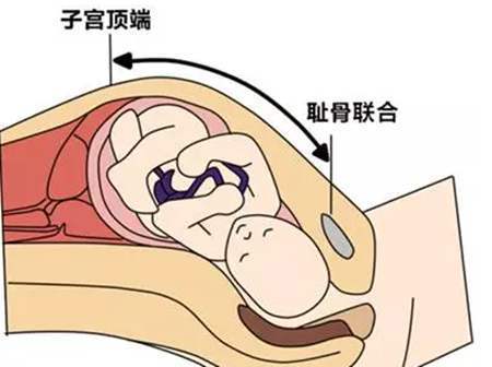 透露秘方是多餐