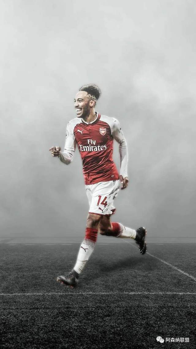 奥巴梅扬高清壁纸,值得枪迷收藏