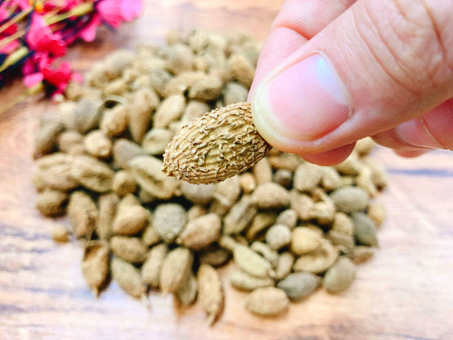 就随便放各种香料,其实炖羊肉时,最忌讳放八角,因为俗话说:"猪不椒,羊