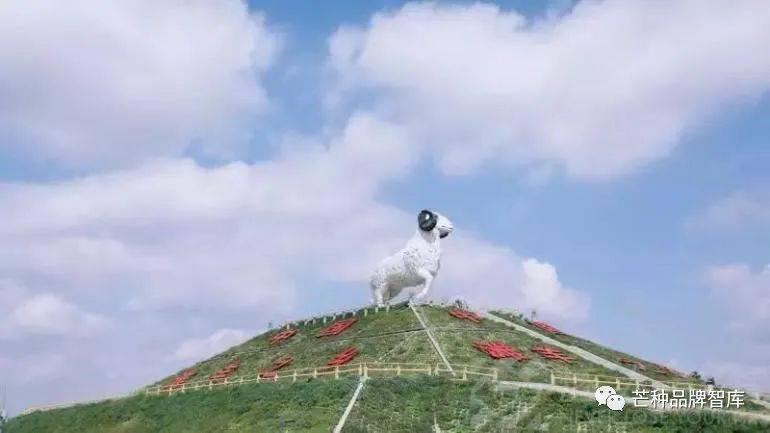 地标品牌专题丨强调个性盐池滩羊的价值再造之路