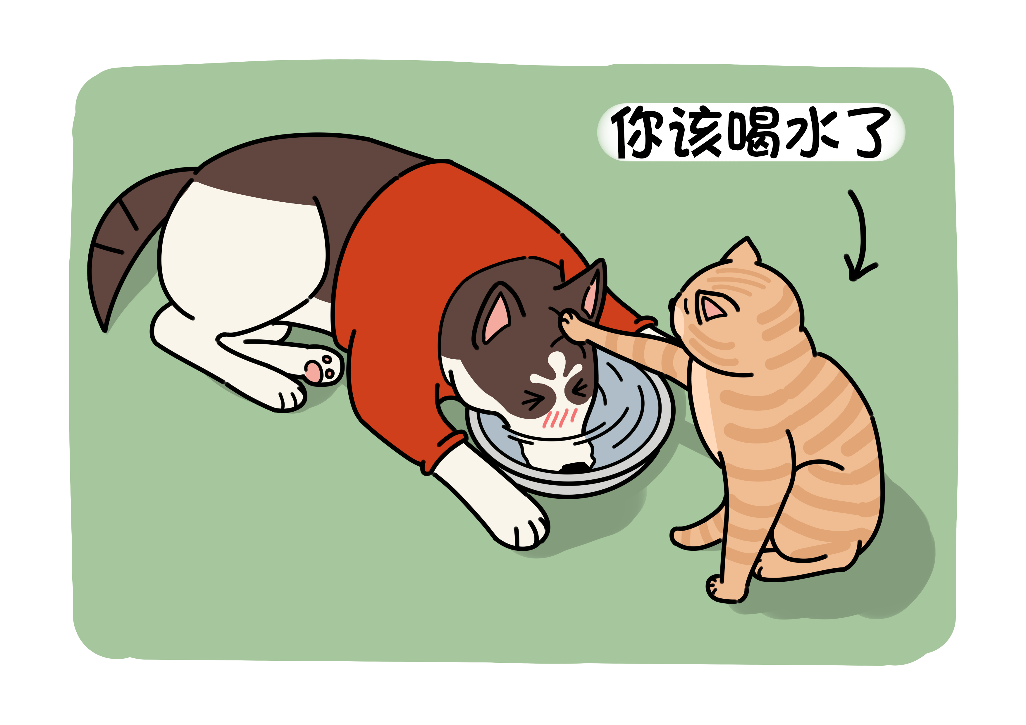 狗生病了但它不会说话兽医是怎么看出来的