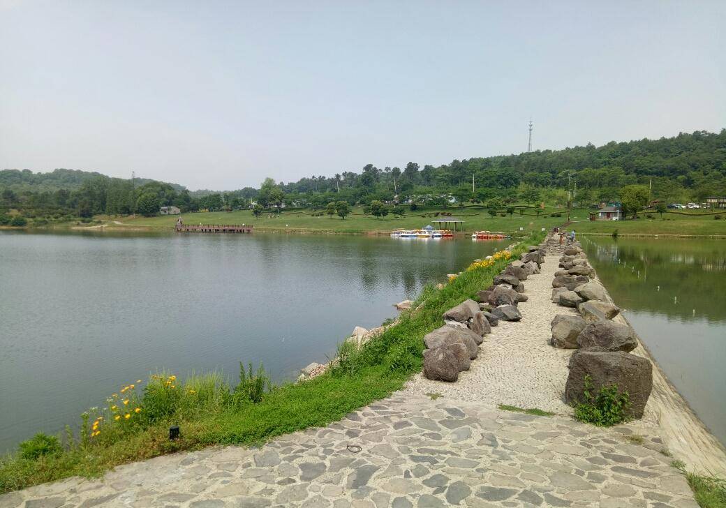 原创南京一座悠闲的森林公园面积2213公顷是秋日度假出游好去处