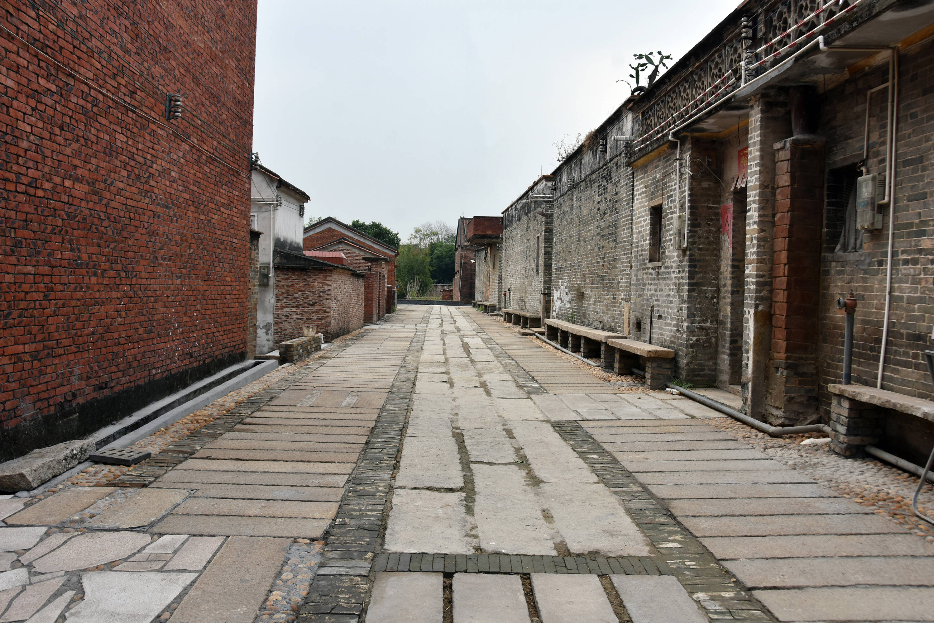 古村新体验悠游独树岗芦苞镇建设新观光线路打造乡村振兴新坐标