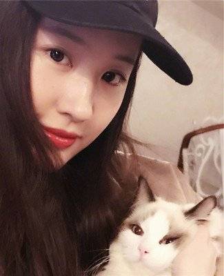 盘点爱猫养猫的女明星