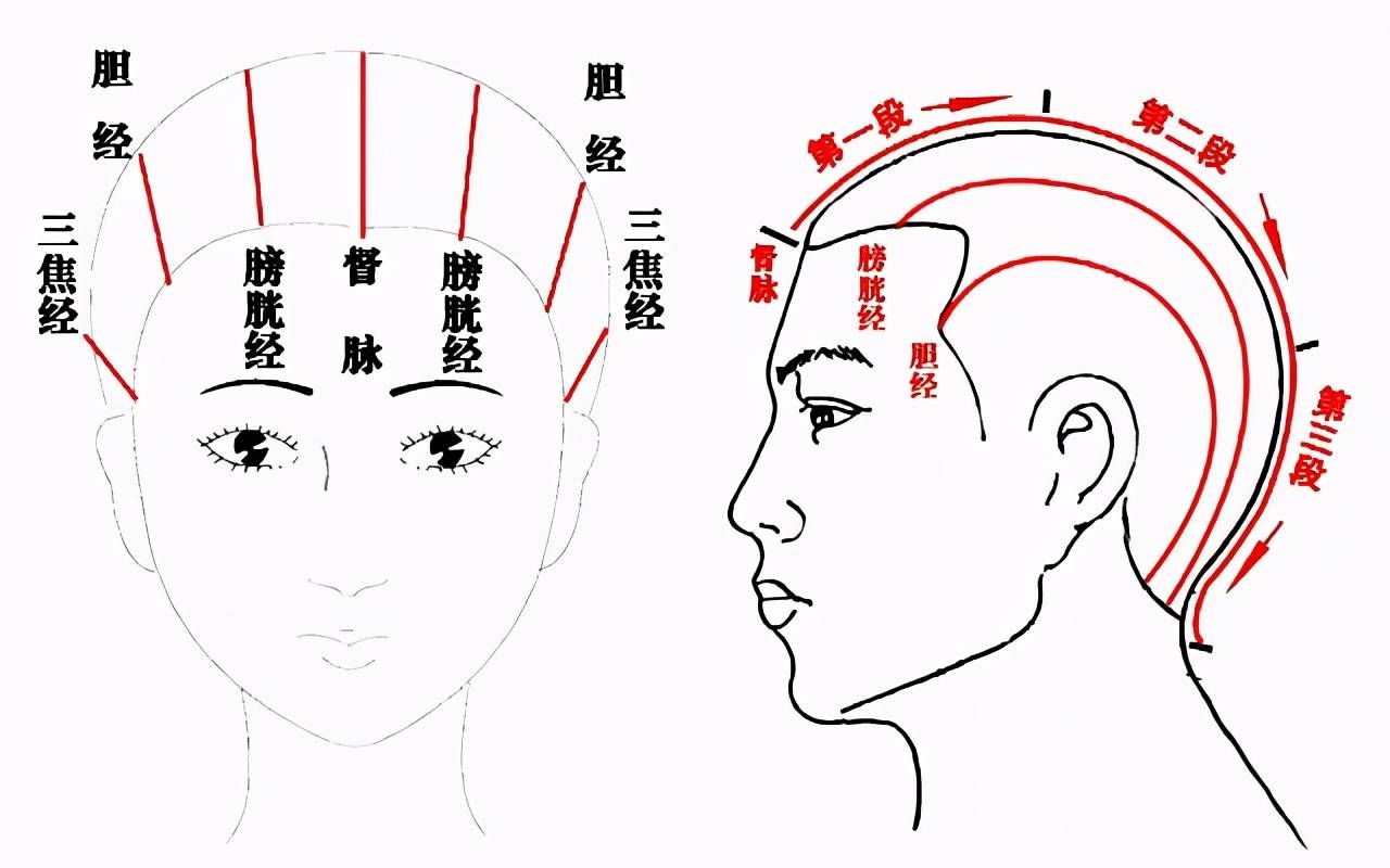 梳头大法好祛屑通经络刺激头发生长