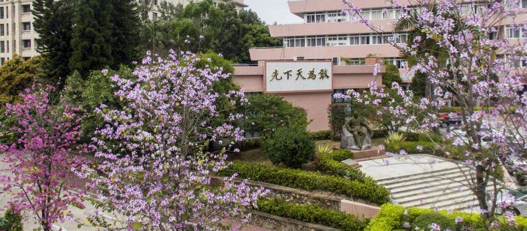 电子科技大学中山学院共5个专业入选省一流本科专业建设点!_广东省