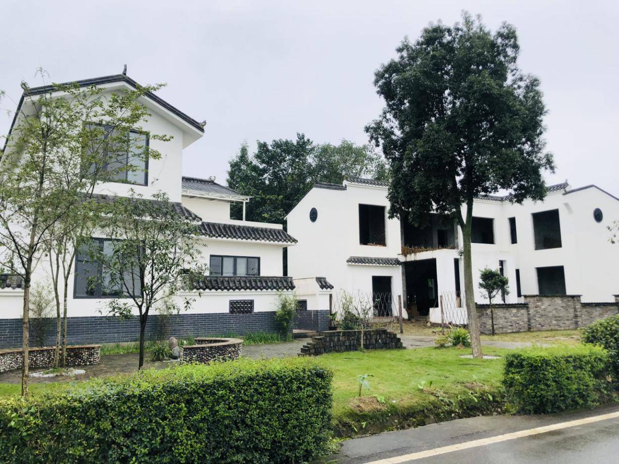 大邑县庙湾村创新集体经济发展模式,探索乡村社区发展治理新路径