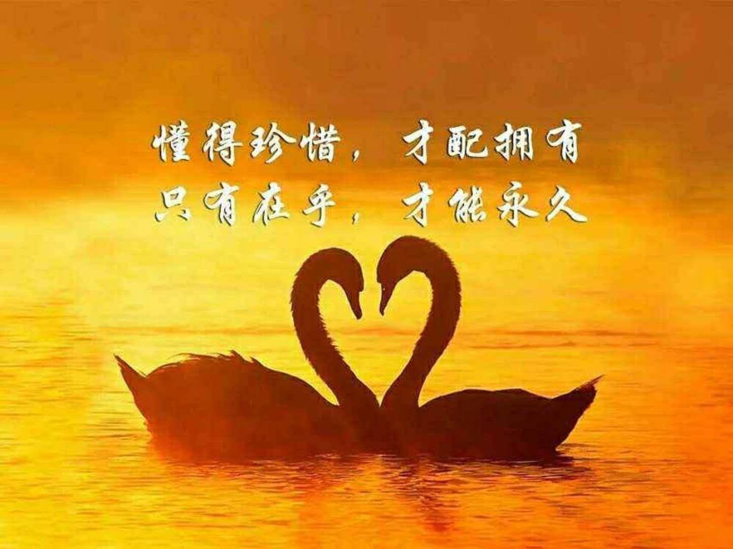 一生之中,只要有一次义无反顾的灵魂之爱,此生无悔!