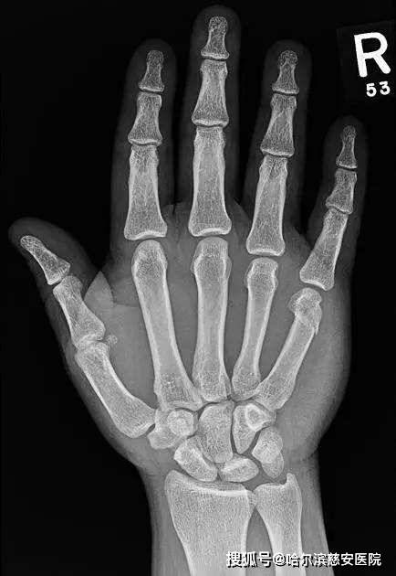 哈尔滨慈安医院(乐大医学·慈安医院)