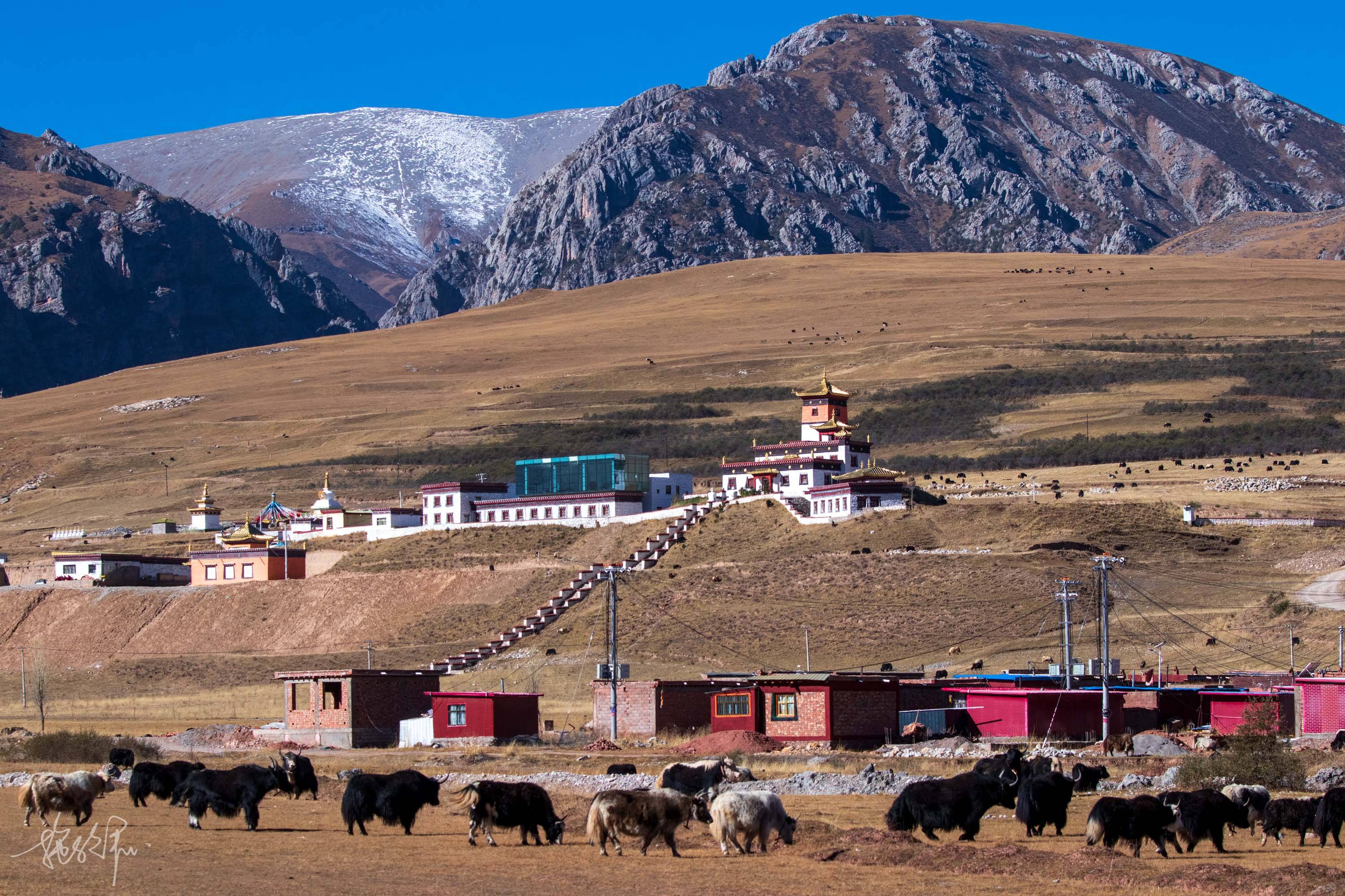 佛像和经幡,囊谦不愧是玉树地区最多寺庙的县城之一