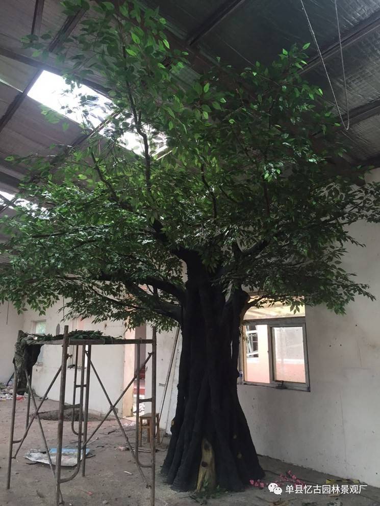 水泥室内仿真古树图片大全