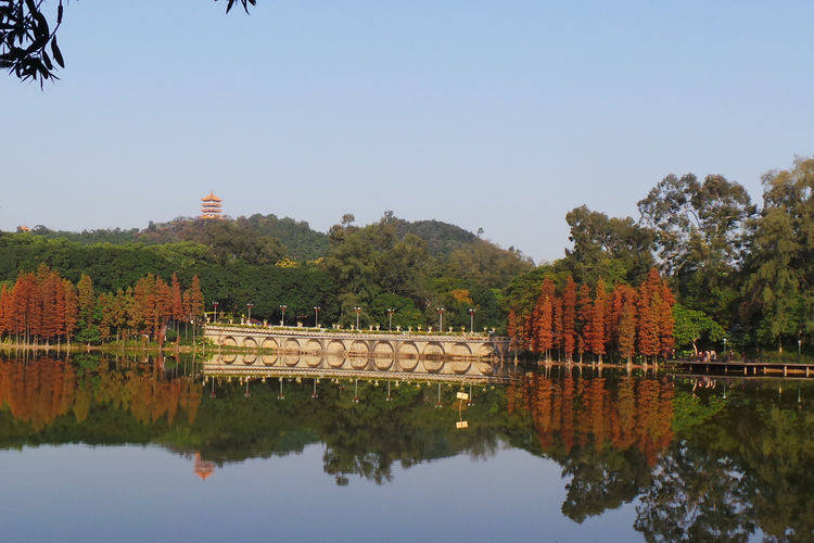 广州第一公园图片