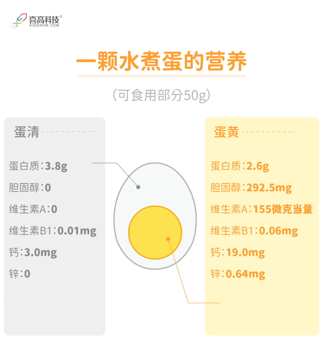 鸡蛋成分 来自搜狐网