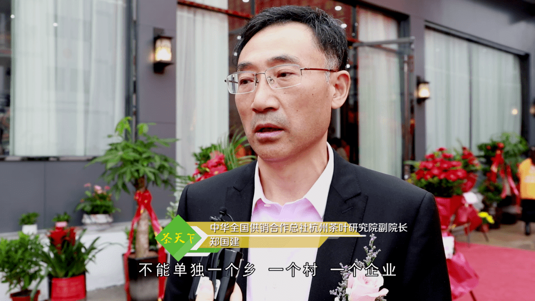 郑国建 中华全国供销合作总社杭州茶叶研究院副院长"现有茶园改造主要