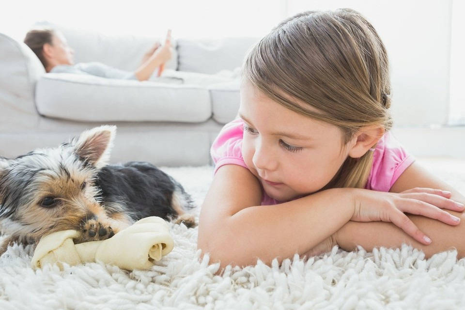 的社会和经济地位,而是父母尤其是母亲对孩子的需求和情感的了解水平