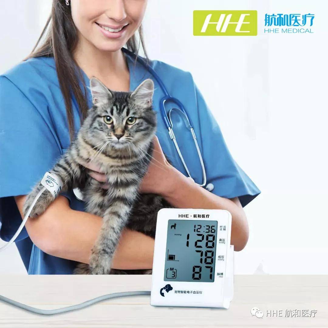 宠物智能电子血压仪,萌宠专属血压计!