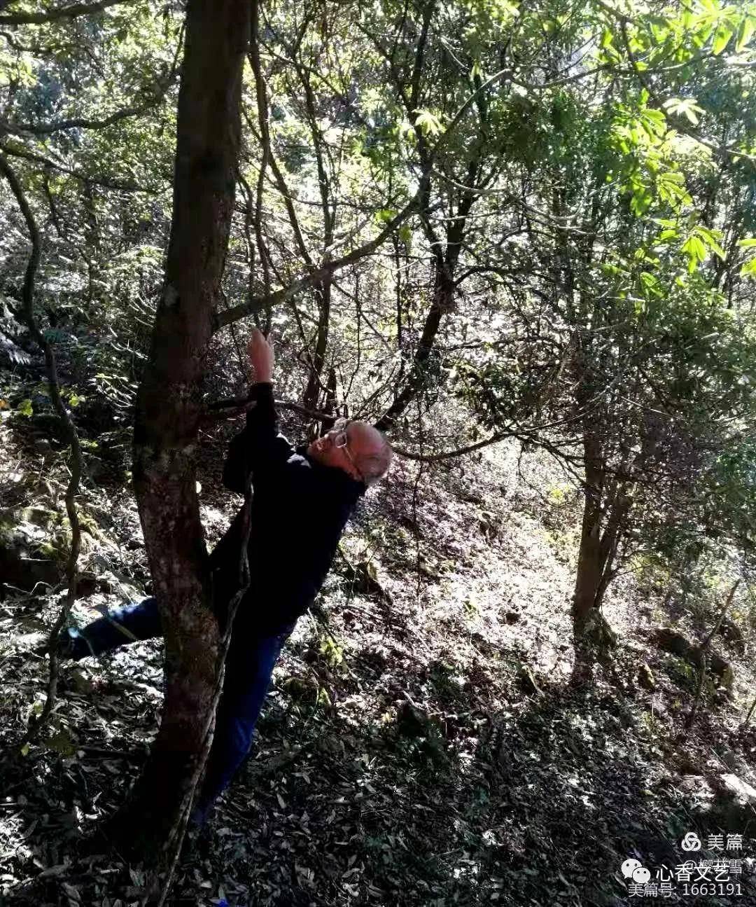 李福信走过炎井心香文艺