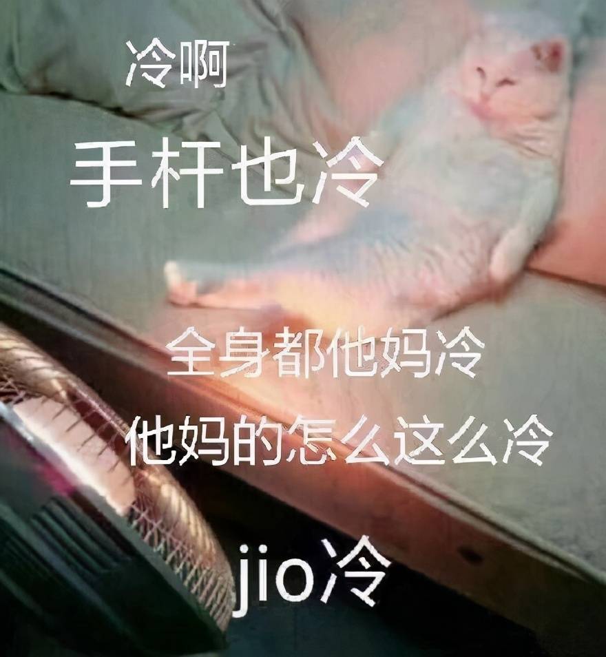 冬天表情包合集|雪花飘飘,北风潇潇