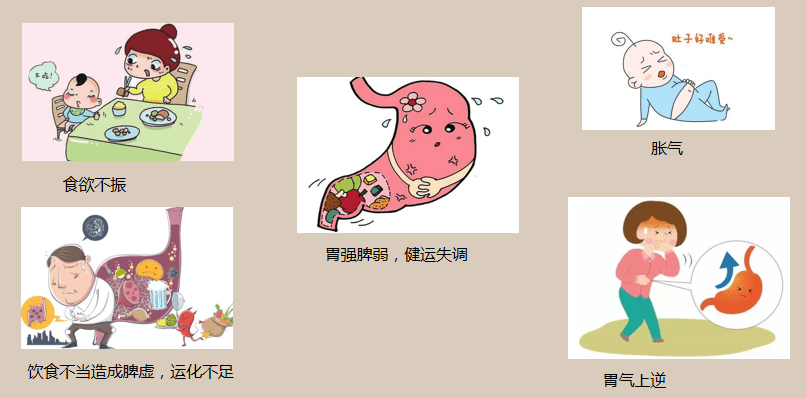 脾牛清明冲剂之起源篇"脾胃学说"_手机搜狐网