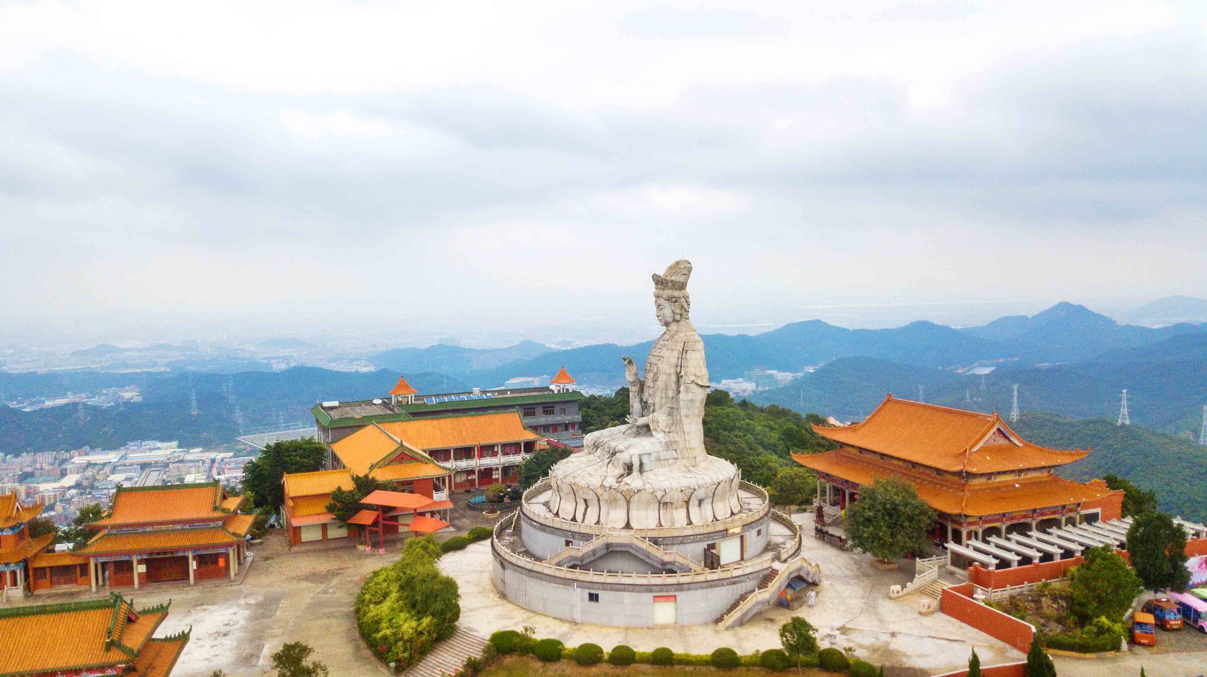 东莞此景区粉色花挂满枝,美爆了_观音山