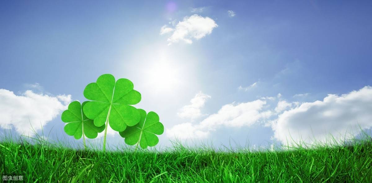 阳光向上温暖心灵的句子,我挑一句写在朋友圈里传递正能量_手机搜狐网