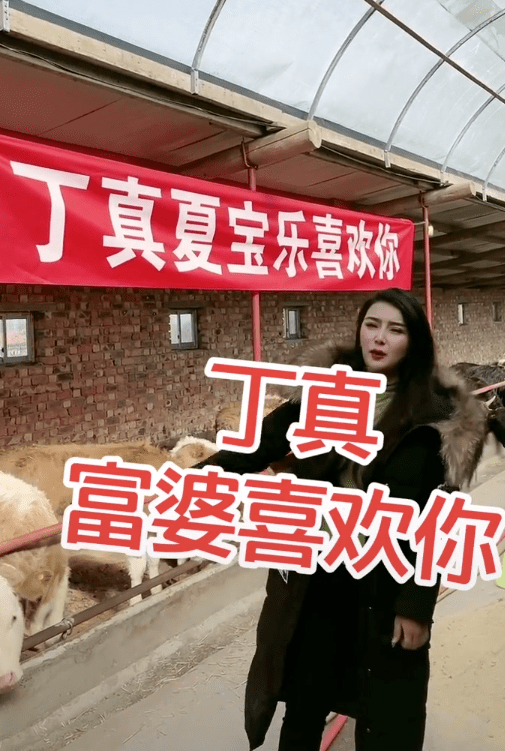 夏宝乐表示像这样的牛棚自己有十个,算得上是拥有几