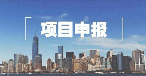 政府扶持办厂项目有什么好处(政府扶持办厂项目有什么好处吗)