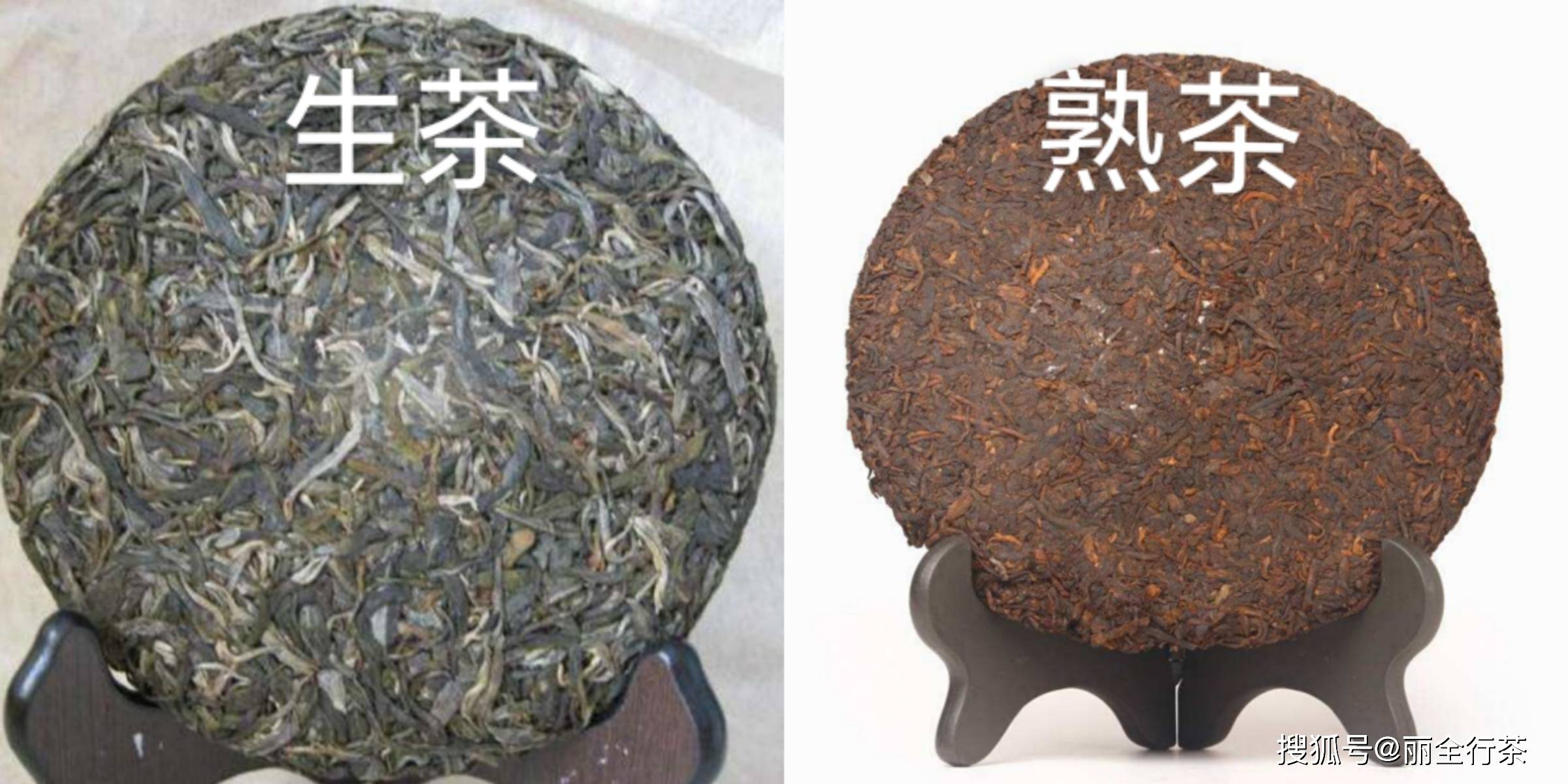 怎麼區別普洱生茶和熟茶?