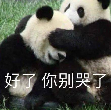 表情包大熊猫180度鞠躬