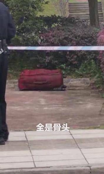 四川资阳发现一具女尸尸体被拆装在密码箱中警方通报来了