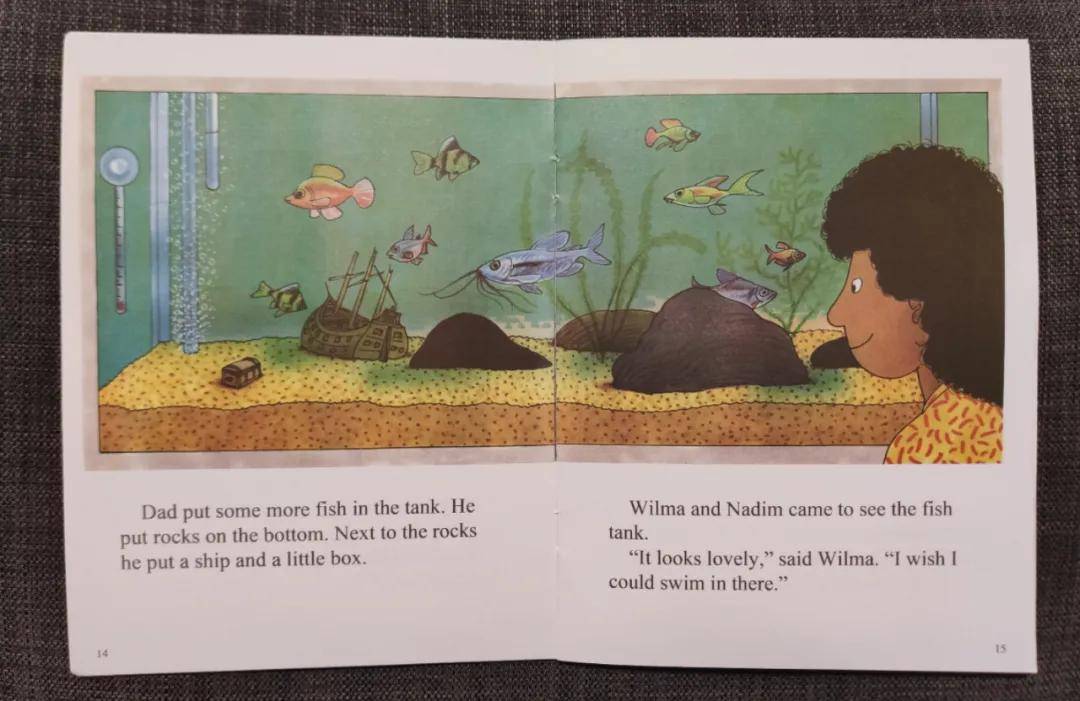 伴读| 牛津树【6-06】the treasure chest(上)