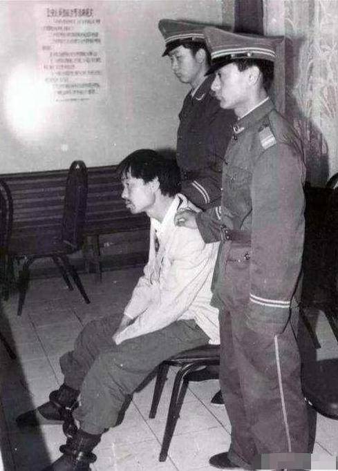 27年前,谢晋导演的电影《老人与狗》拍完后,人狗皆枪毙_程鹏